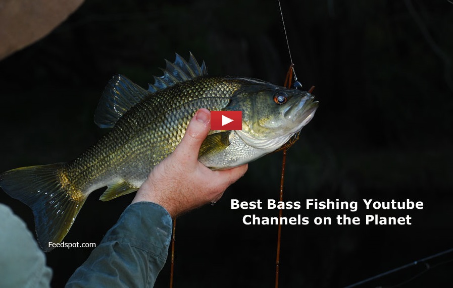 100 Bass Fishing  Channels To Follow in 2024